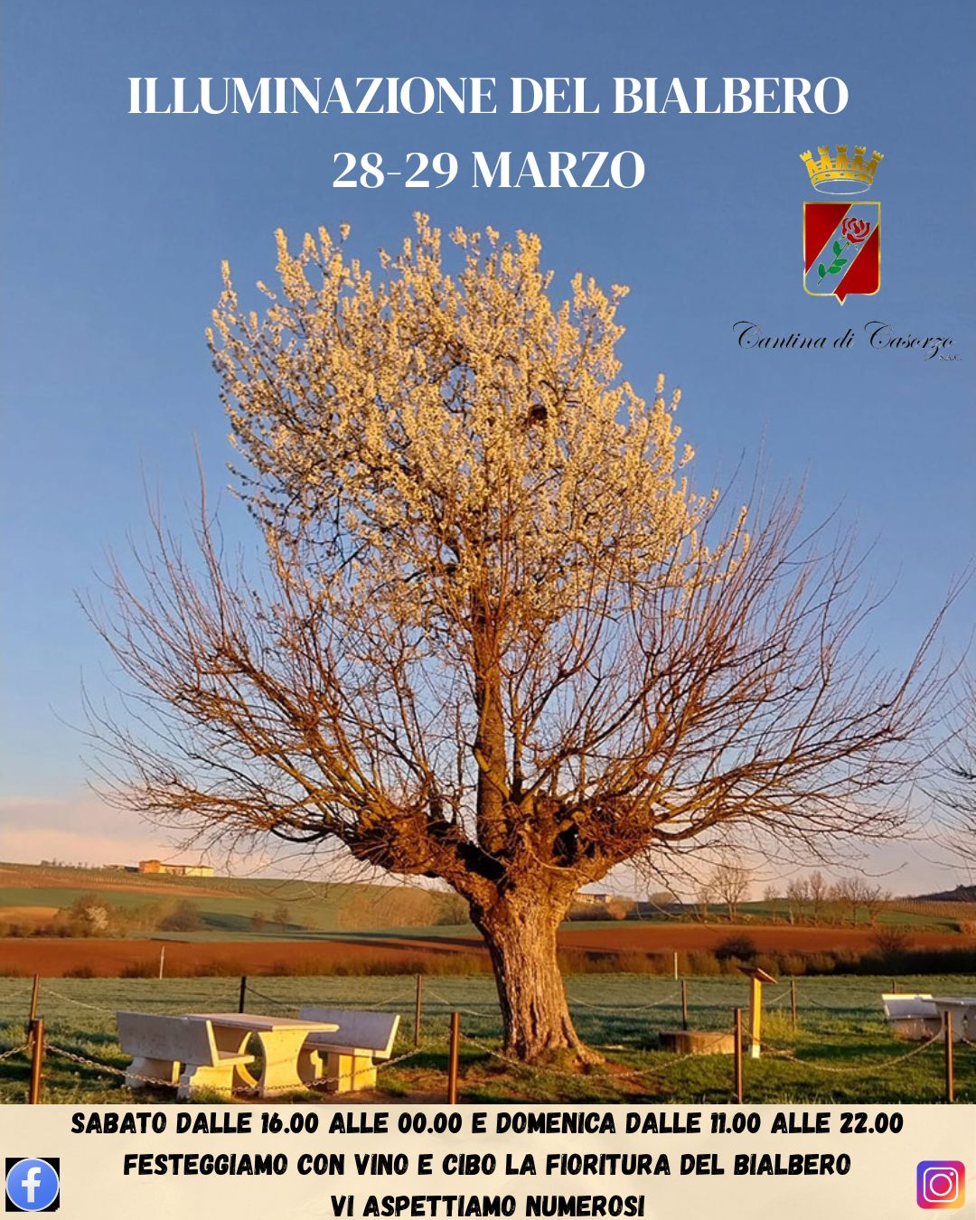 ILLUMINAZIONE DEL BIALBERO DI CASORZO