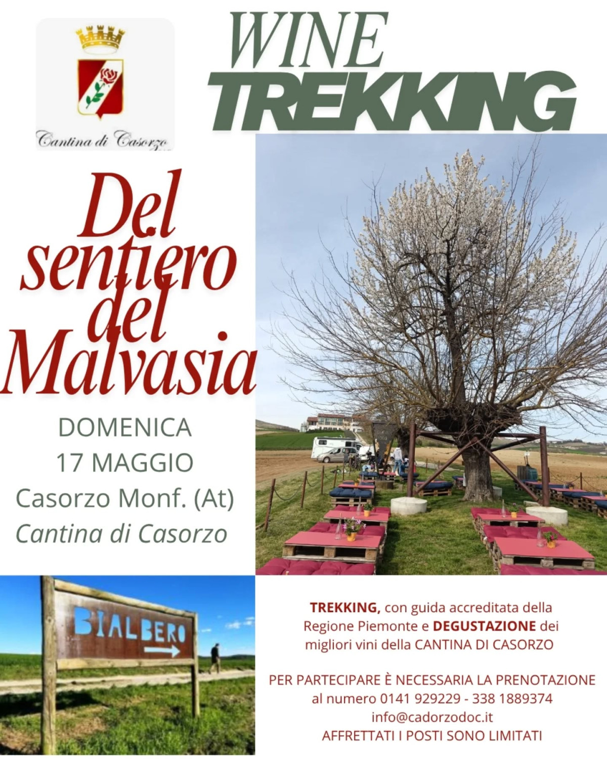 Wine trekking: sentiero del Malvasia