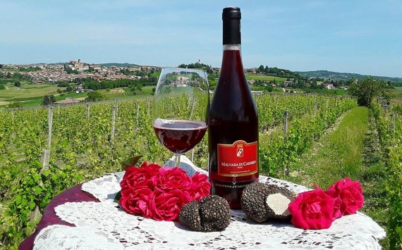 Tartufo e Malvasia si incontrano in Cantina