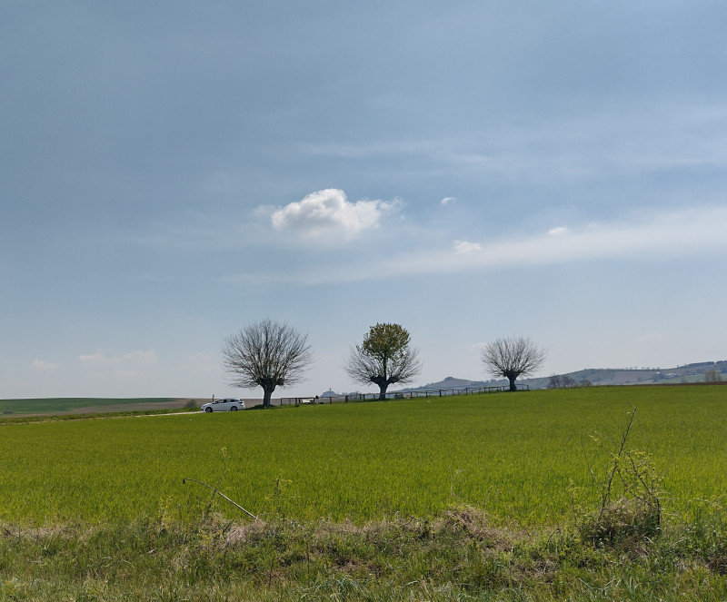Manutenzione area Bialbero